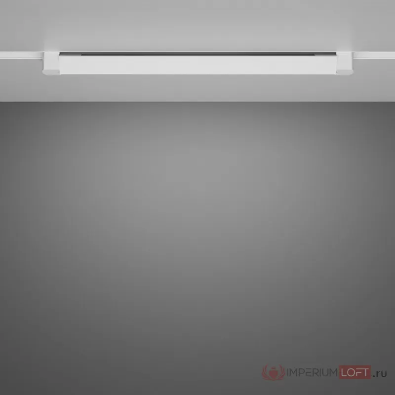 Трековый светильник Maytoni Basis Rot TR104-1-20W4K-W от ImperiumLoft