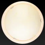 Потолочный светильник TopLight Jane TL9640Y-00PN 