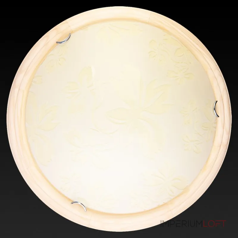 Потолочный светильник TopLight Jane TL9640Y-00PN 