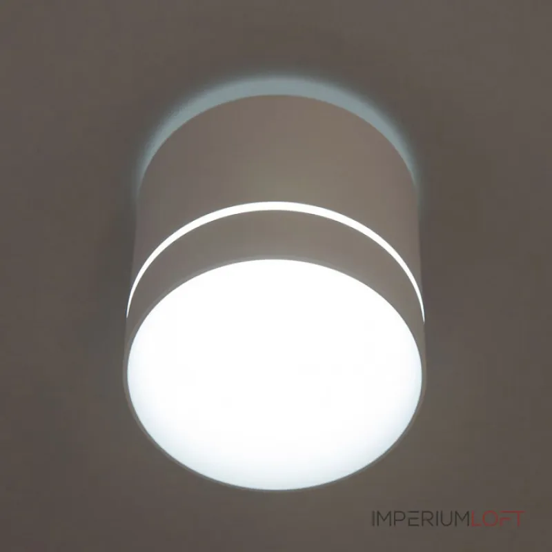 Накладной светильник Citilux Борн CL745020N