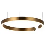 Подвесной светильник Loft it Ring 10013M Цвет арматуры латунь Цвет плафонов латунь от ImperiumLoft