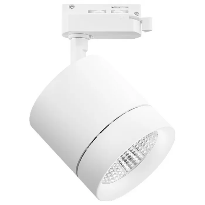 Светильник на штанге Lightstar Canno 301262 от ImperiumLoft