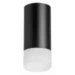 Накладной светильник Lightstar Rullo R43731