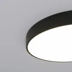 Накладной светильник Eurosvet Entire 90320/1 черный от ImperiumLoft