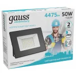 Настенно-потолочный прожектор Gauss Elementary 613100250 Цвет плафонов прозрачный