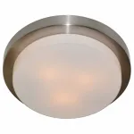 Потолочный светильник Arte Lamp Aqua A8510PL-3SS