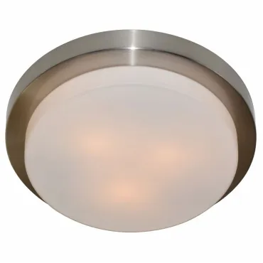 Накладной светильник Arte Lamp Aqua A8510PL-3SS