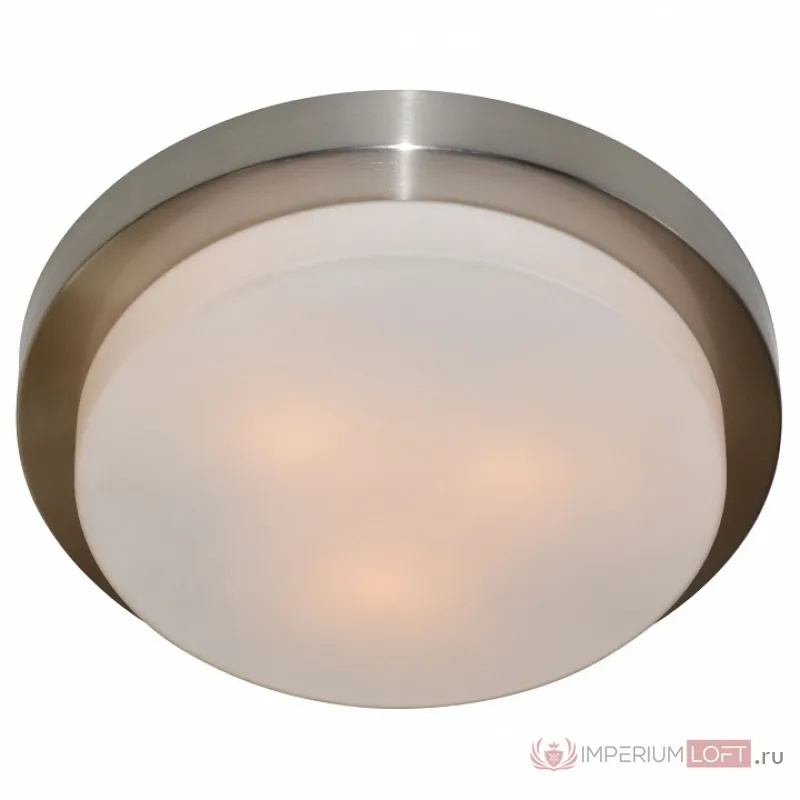 Накладной светильник Arte Lamp Aqua A8510PL-3SS от ImperiumLoft