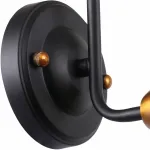 Бра Rivoli Evlia Б0044495 Цвет арматуры черный Цвет плафонов черный