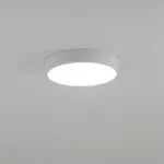 Потолочный светильник Citilux Купер CL72424V0 Потолочный светильник Citilux Купер CL72424V0