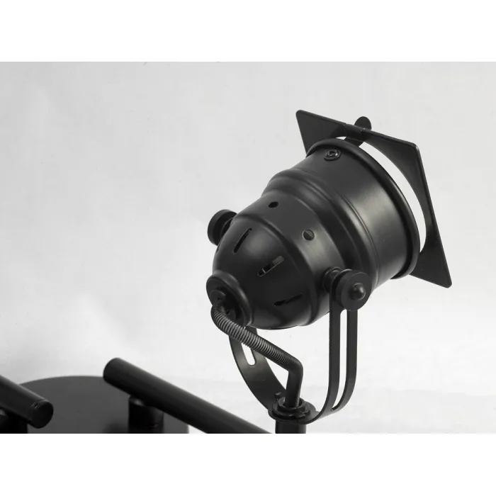 Спот Lussole Denver LSP-9119 Цвет арматуры черный Цвет плафонов черный от ImperiumLoft
