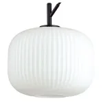 Подвесной светильник Odeon Light Roofi 4753/1 Цвет плафонов белый Цвет арматуры черный от ImperiumLoft