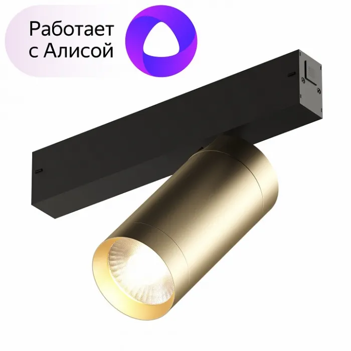 Светильник на штанге Denkirs Smart DK8020-BG от ImperiumLoft