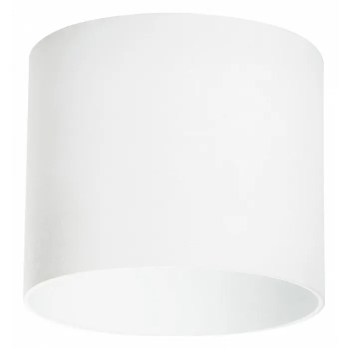 Накладной светильник Lightstar Rullo 213486 от ImperiumLoft