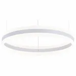Подвесной светильник Arte Lamp 2501 A2501SP-1WH 