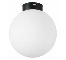 Накладной светильник Lightstar Globo 812027 Цвет арматуры черный Цвет плафонов белый