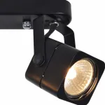 Спот Arte Lamp Lente A1314PL-2BK Цвет арматуры черный Цвет плафонов черный