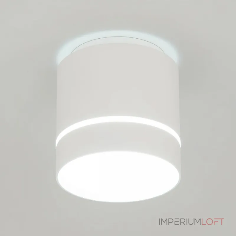 Накладной светильник Citilux Борн CL745020N