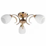 Потолочная люстра TopLight Lenore TL3530X-03FG 