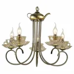 Подвесная люстра Arte Lamp 1750 A1750LM-5AB 