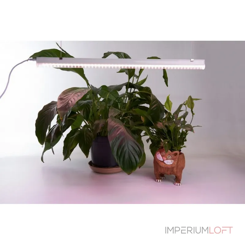 Светильник для растений Feron AL7002 41355 Цвет плафонов белый от ImperiumLoft