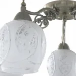 Потолочная люстра TopLight Lora TL7370X-05AB 