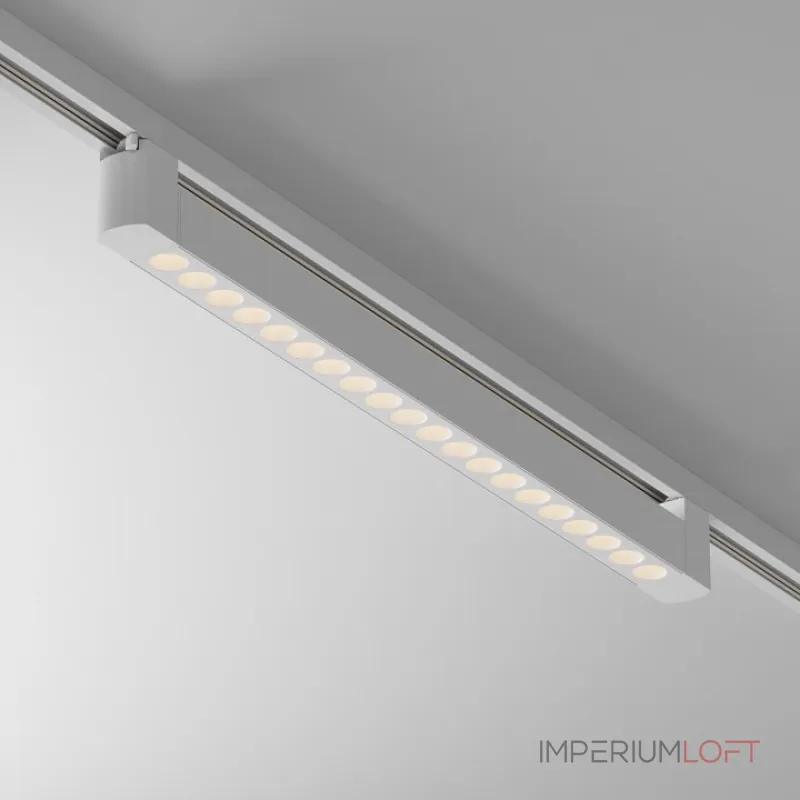 Трековый светильник Maytoni Points Rot TR010-1-20W3K-M-W