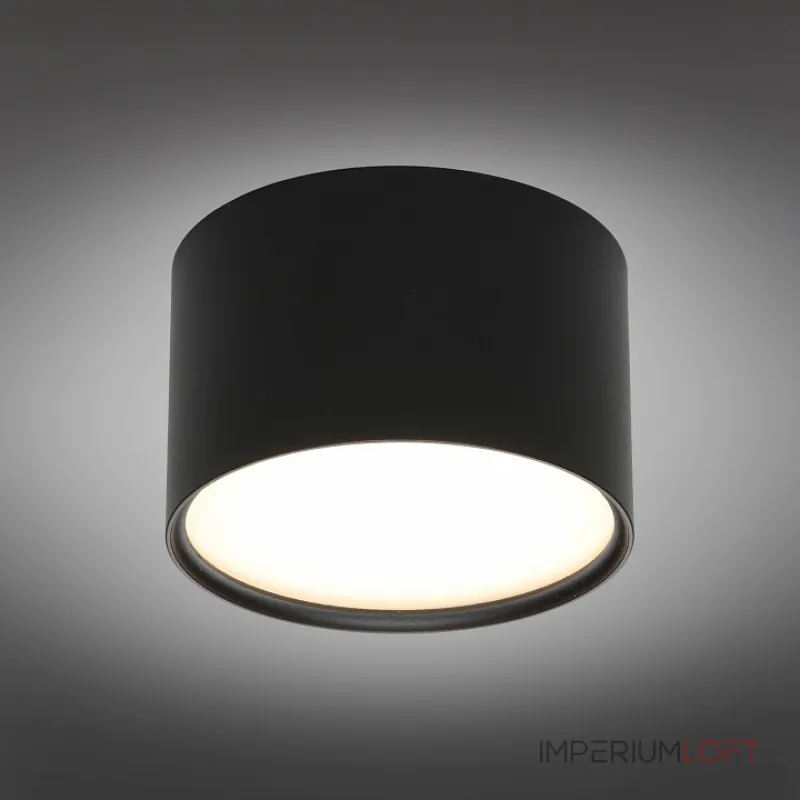 Накладной светильник Omnilux Abano OML-103319-06