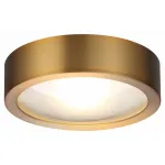 Накладной светильник Odeon Light Reus 4342/7CL Цвет арматуры бронза Цвет плафонов бронза от ImperiumLoft