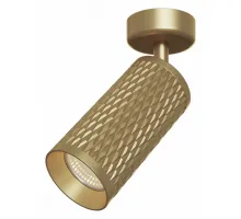 Потолочный светильник Technical C034CL-01G