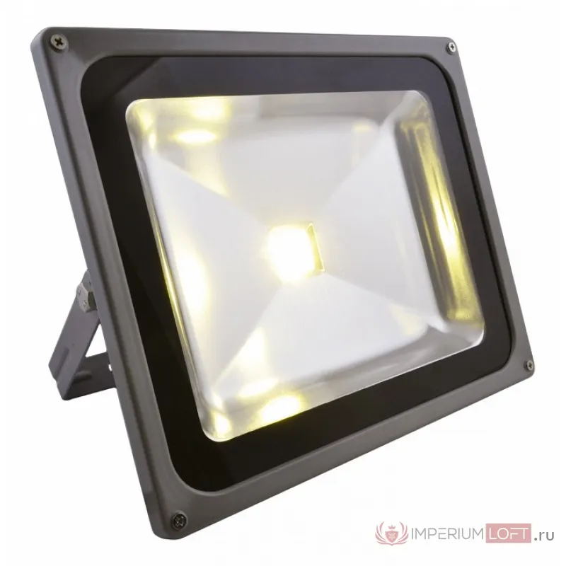 Настенный прожектор Arte Lamp Faretto A2550AL-1GY от ImperiumLoft