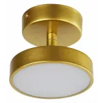 Светильник на штанге F-promo Atma 3059-1P