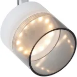 Спот TopLight Rosa TL1230Y-02SN Цвет арматуры никель Цвет плафонов прозрачный