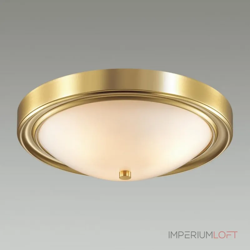 Накладной светильник Lumion Nina 5259/3C