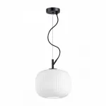 Подвесной светильник Odeon Light Roofi 4753/1 Цвет плафонов белый Цвет арматуры черный от ImperiumLoft