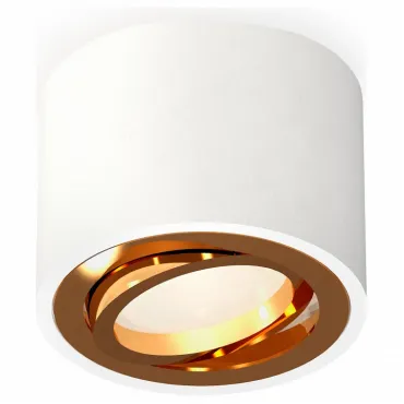 Накладной светильник Ambrella Techno 263 XS7510004 Цвет арматуры золото от ImperiumLoft