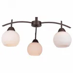 Потолочная люстра TopLight Molly TL3770X-03DB 