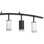 Подвесной светильник Lightstar Rullo LR7353723630