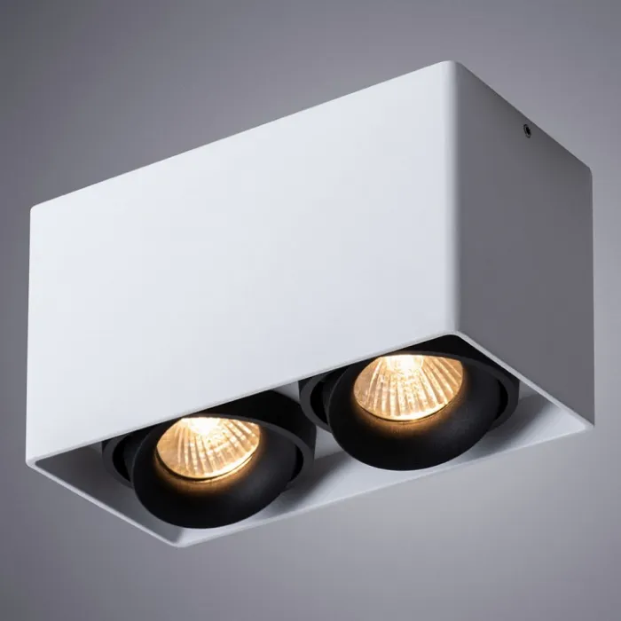 Накладной светильник Arte Lamp Pictor A5654PL-2WH от ImperiumLoft