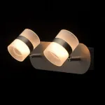 Спот DeMarkt Этингер 704023602 Цвет плафонов белый Цвет арматуры серебро от ImperiumLoft Спот DeMarkt Этингер 704023602 Цвет плафонов белый Цвет арматуры серебро от ImperiumLoft