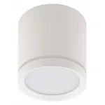 Накладной светильник Denkirs DK4016 DK4013-WH от ImperiumLoft
