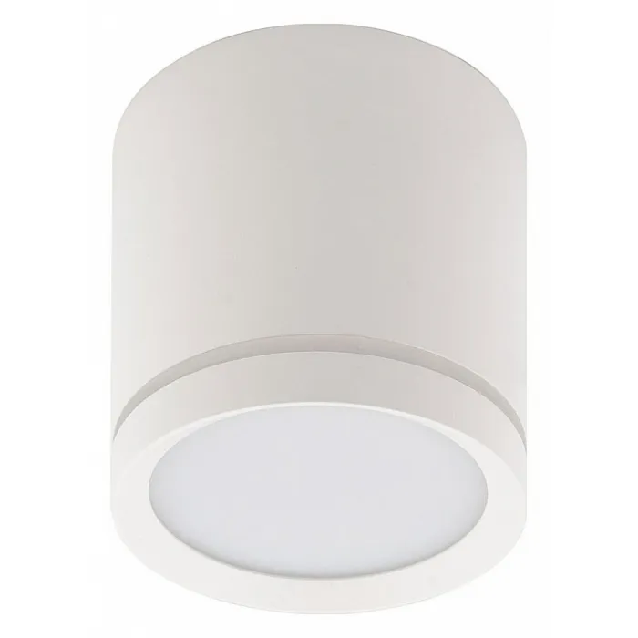 Накладной светильник Denkirs DK4016 DK4013-WH от ImperiumLoft