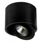 Накладной светильник Favourite Reflector 1779-1C
