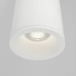 Накладной светильник Maytoni Zoom C029CL-01-S-W