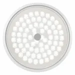 Накладной светильник Freya LED FR10012CL-L24W Цвет плафонов белый от ImperiumLoft