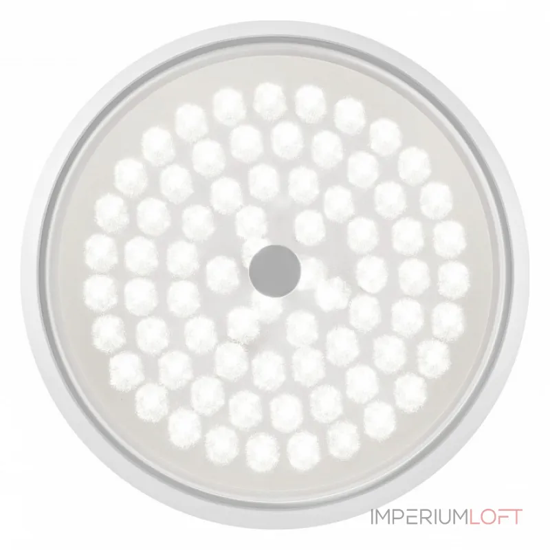 Накладной светильник Freya LED FR10012CL-L24W Цвет плафонов белый Накладной светильник Freya LED FR10012CL-L24W Цвет плафонов белый