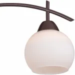 Потолочная люстра TopLight Molly TL3770X-03DB 