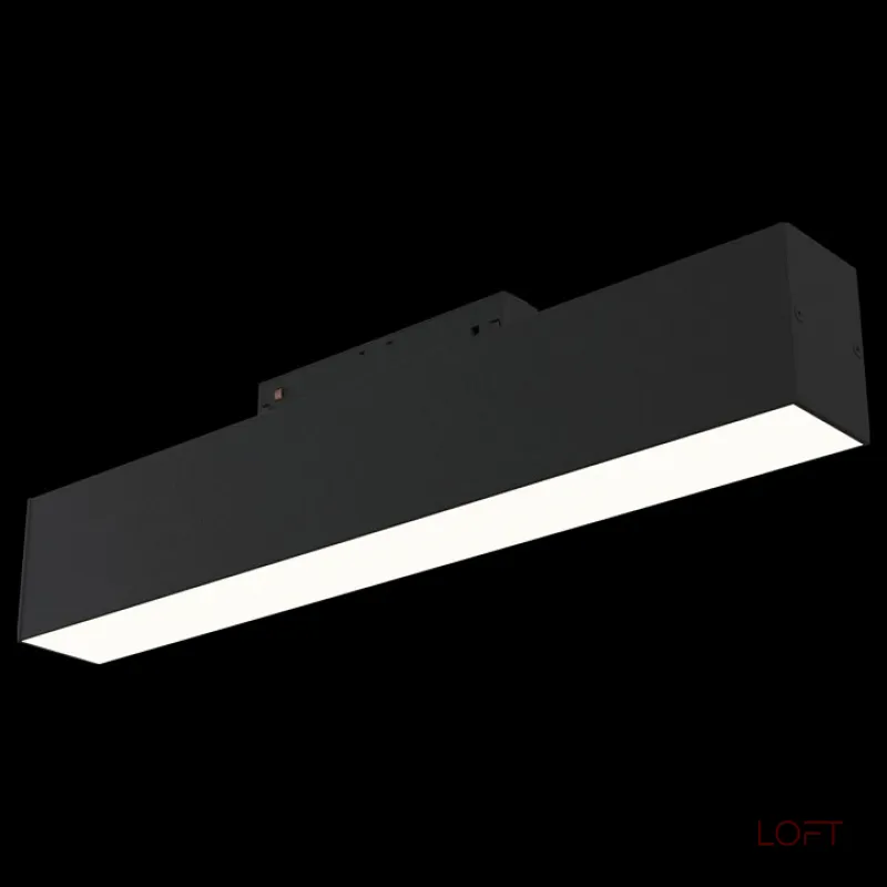 Накладной светильник Maytoni Track lamps TR012-2-12W3K-B Цвет арматуры черный Цвет плафонов черный
