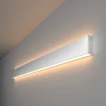 Накладной светильник Elektrostandard 101-100-40-103 a041468 Цвет арматуры серебро от ImperiumLoft