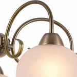 Подвесная люстра Arte Lamp 9317 A9317LM-5AB 